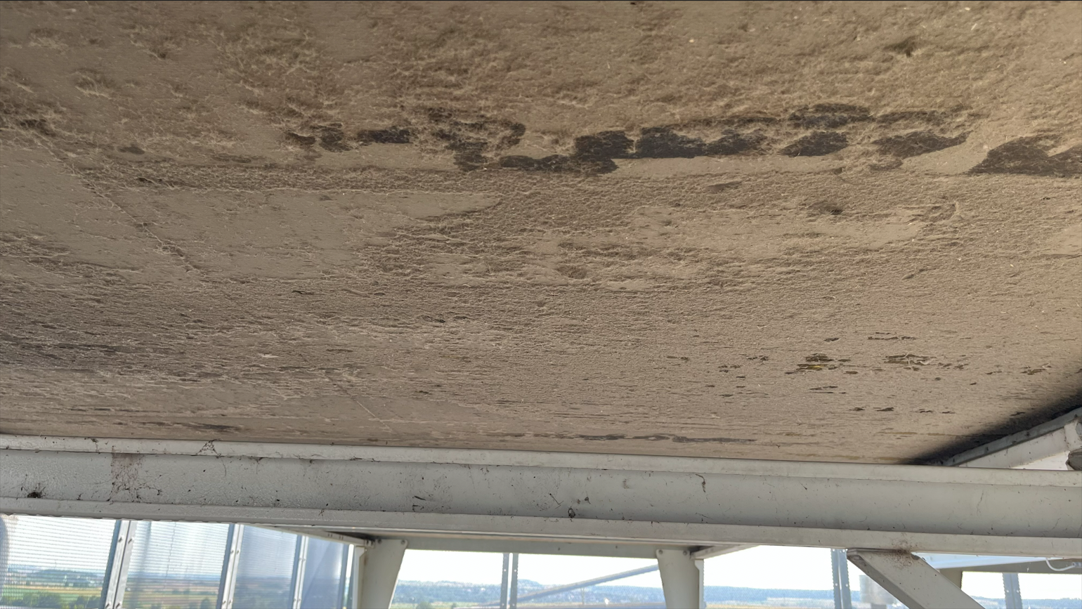 Während der Reinigung